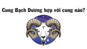 Cung Bạch Dương hợp với cung nào nhất trong tình yêu?