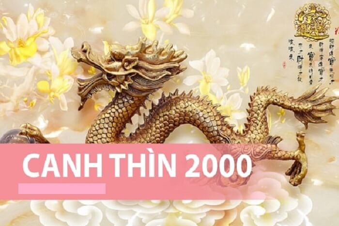 Người sinh năm 2000 tức năm Canh Thìn là tuổi con rồng