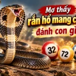 nam-mo-thay-ran-ho-mang-chua-giai-ma-tung-truong-hop-cu-the-5